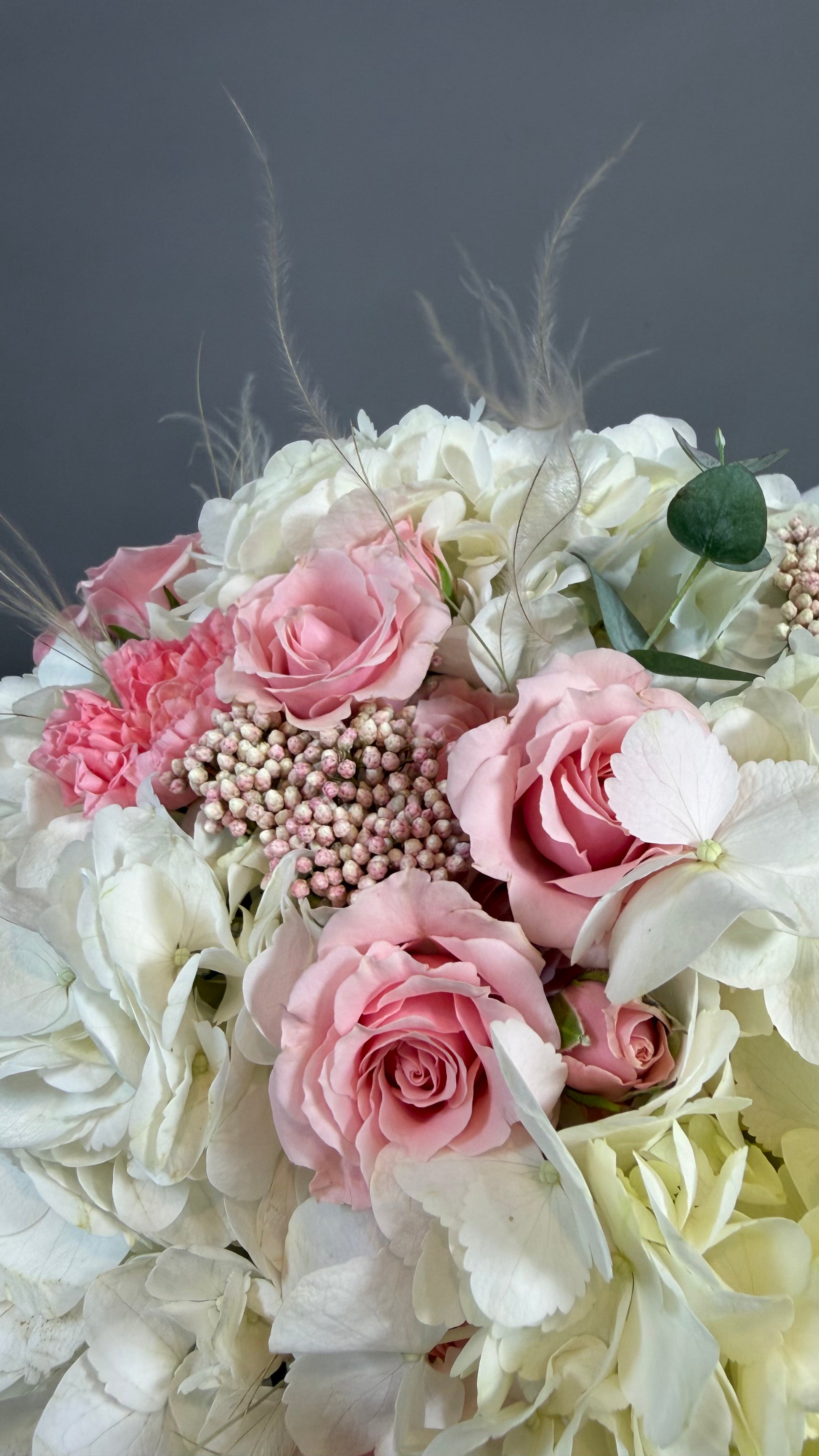 Caja Hortensia Blush
