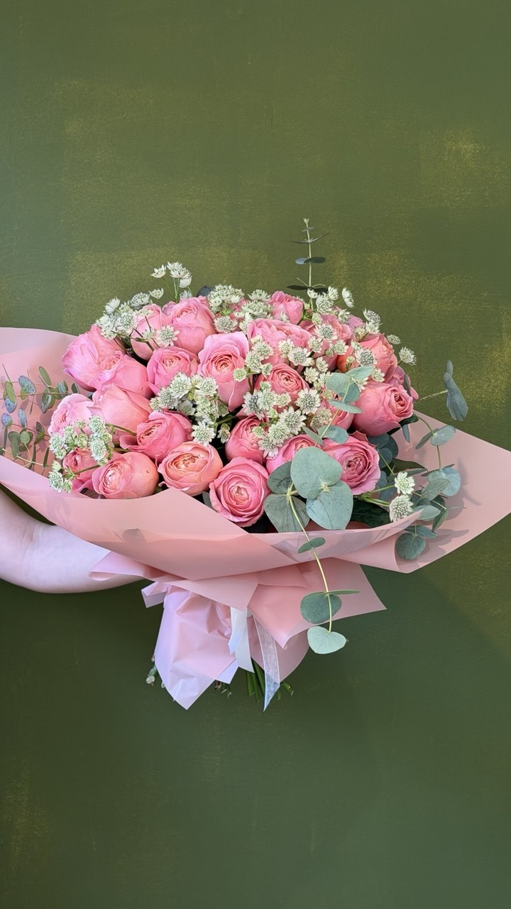 Dulce Aurora Rosa
