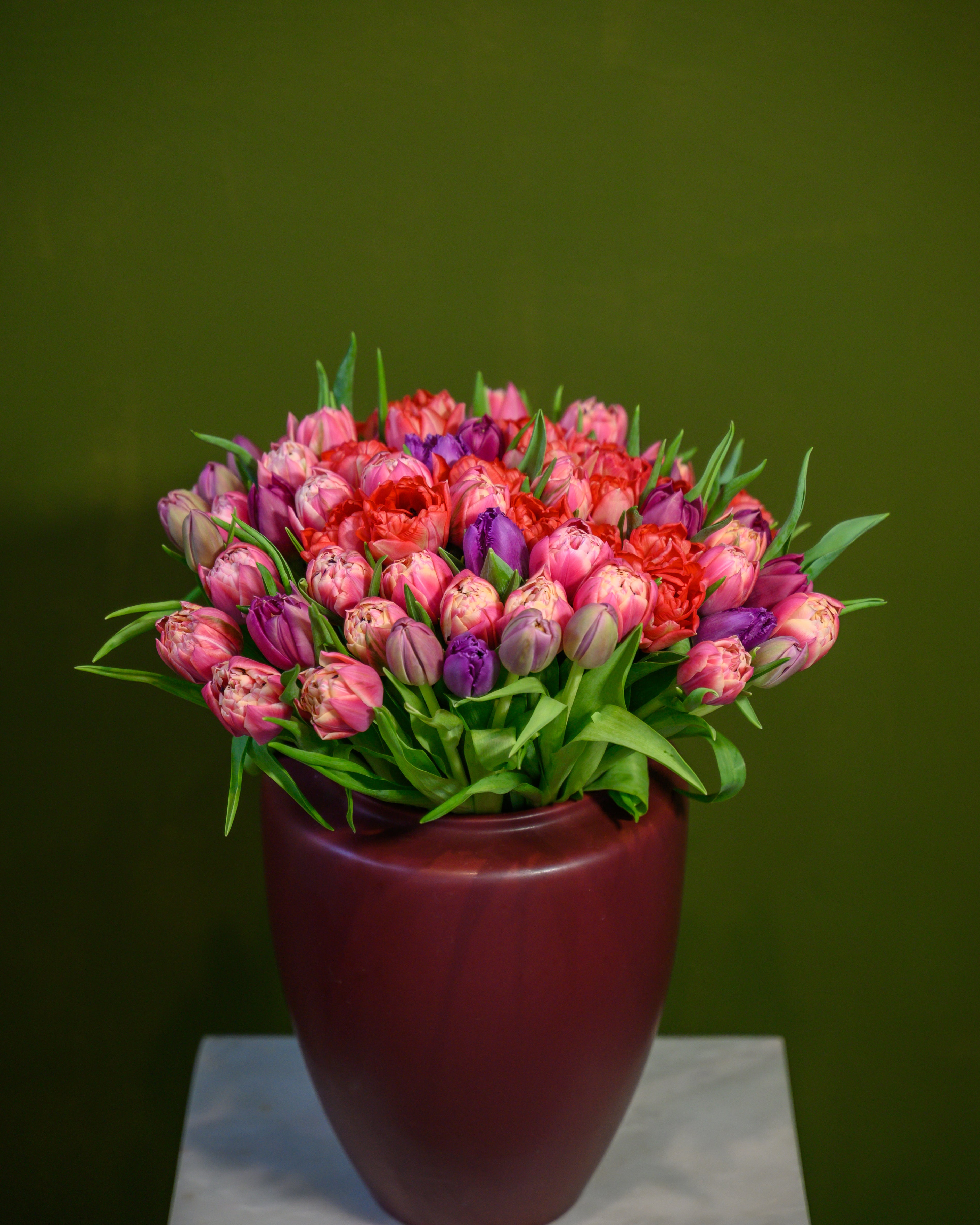 Jardín de 75 Tulipanes