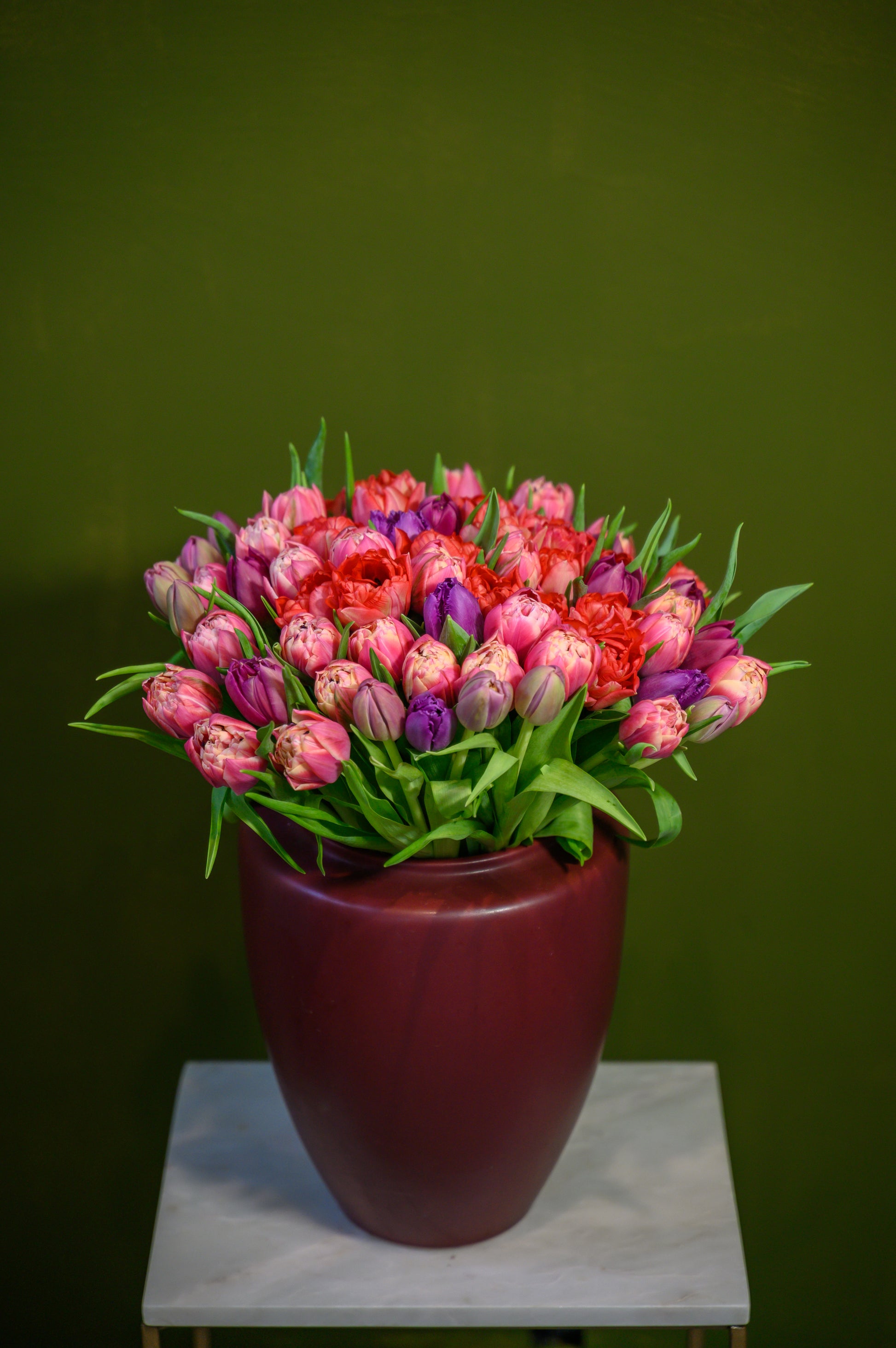 Jardín de 75 Tulipanes