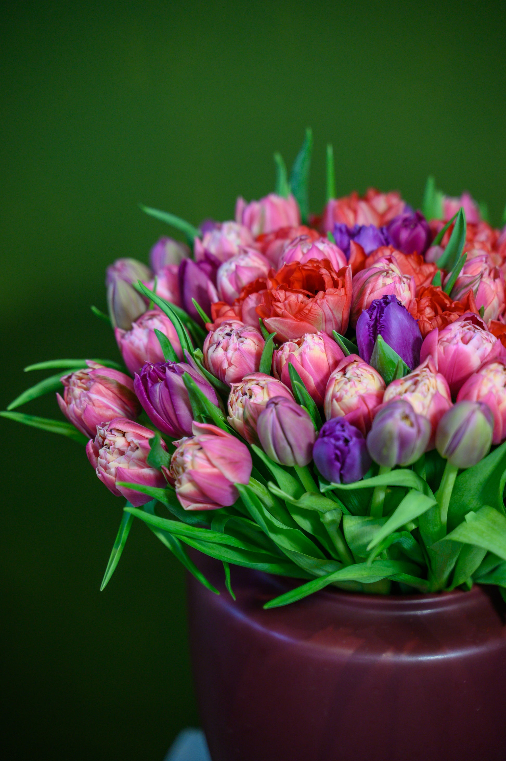 Jardín de 75 Tulipanes