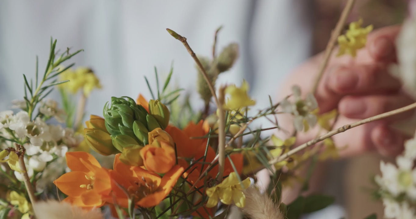 Video with text overlay